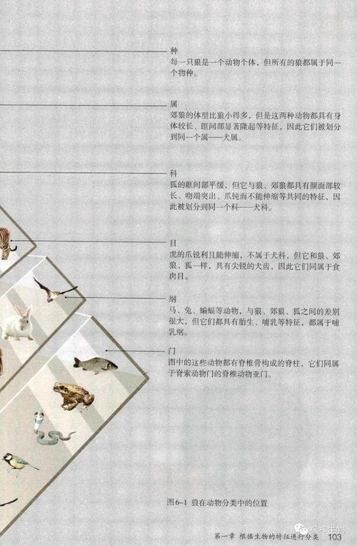 生物基材料 可持續發展中的綠色先鋒